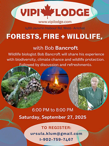 Forest Fire